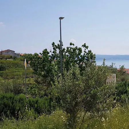 Toni Podstrana